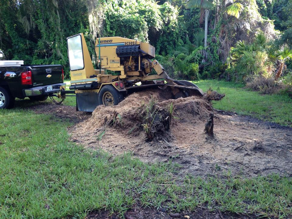 A stump grinder is being used to remove a tree stump.