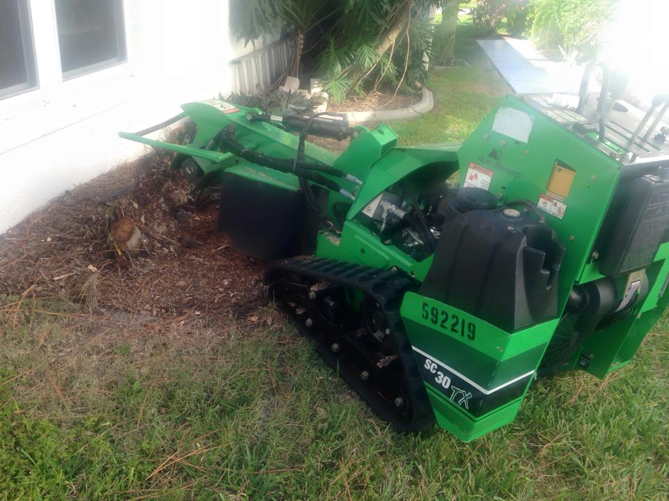 A green stump grinder is cutting a tree stump in a yard.