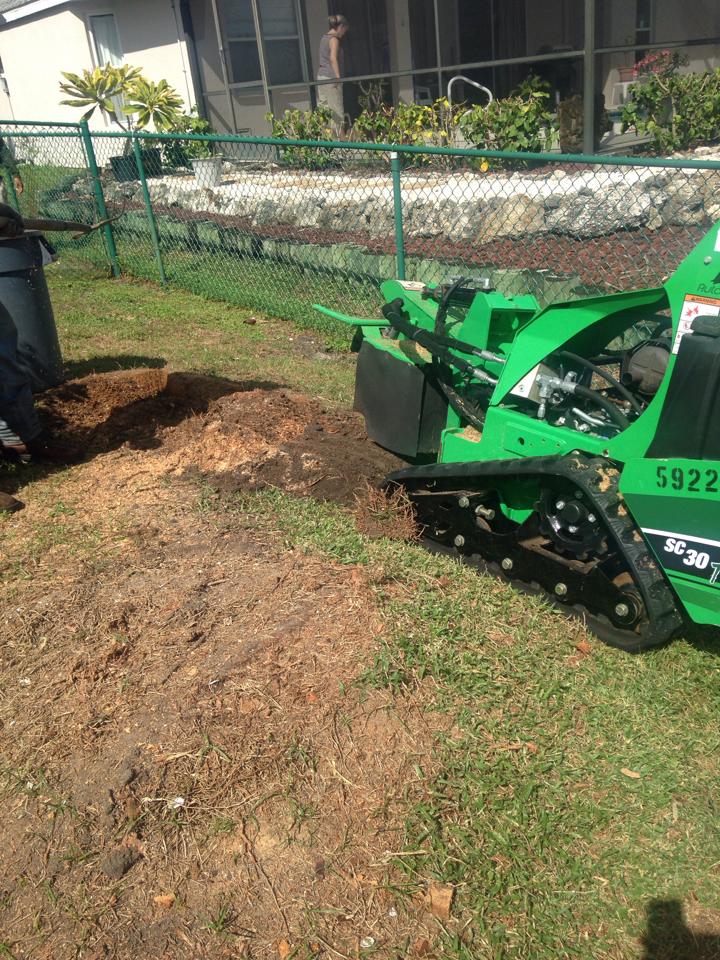 A green tractor is stump grinding a tree stump in a yard.
