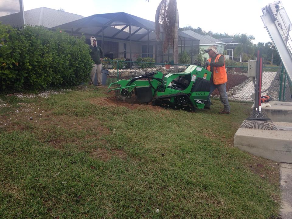 A man is using a green machine to remove a tree stump.