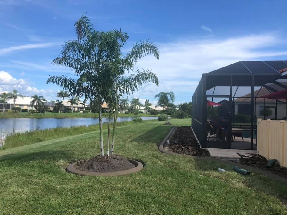 A screened in porch with a tree in the middle of it