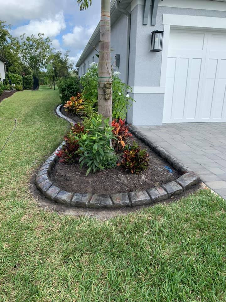 A lawn with a tree and flowers in front of a house.