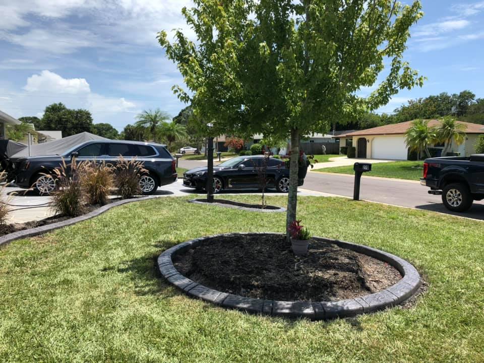 A tree in the middle of a lush green lawn with cars parked around it.