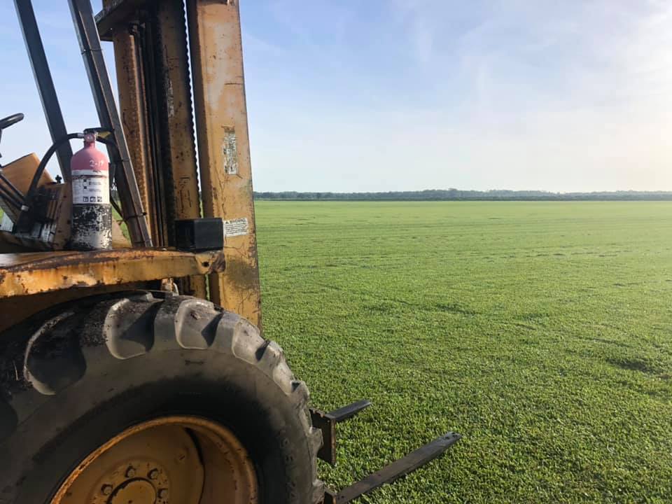 A forklift is parked in the middle of a grassy field.