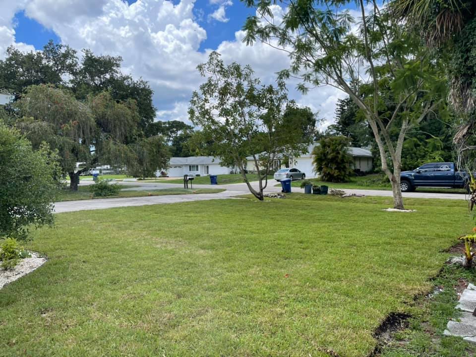 A lush green yard with a blue truck parked in the middle of it.