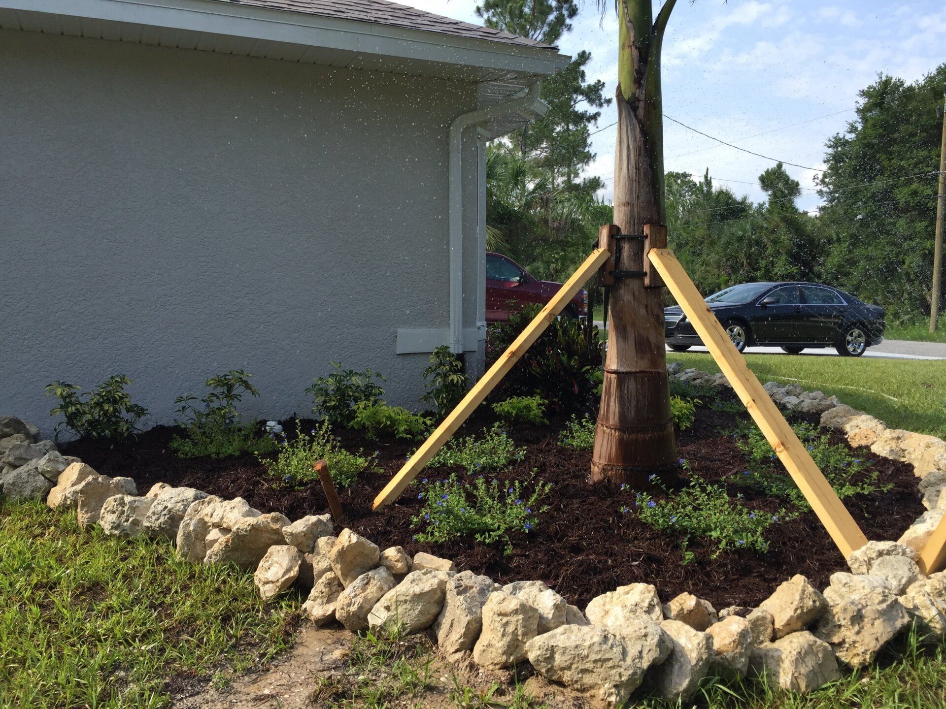 A car is parked in front of a house next to a tree