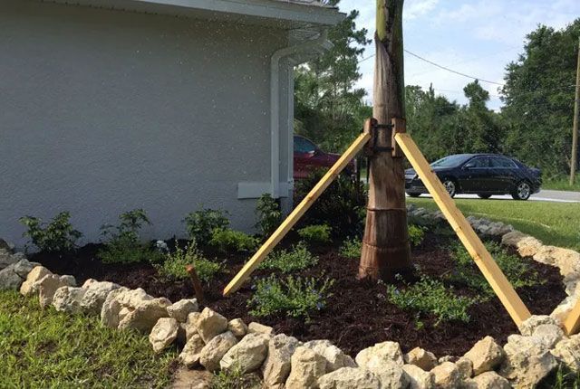 A car is parked in front of a house next to a tree.