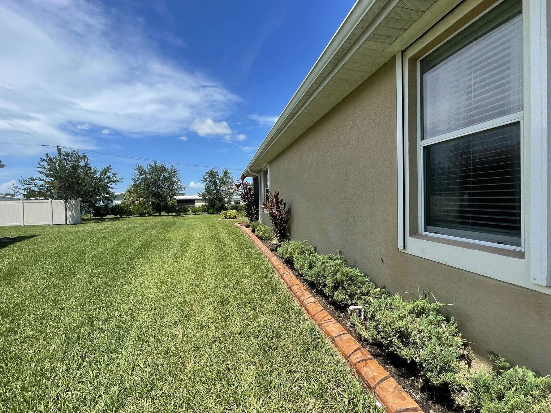 A house with a large lawn in front of it and a window.
