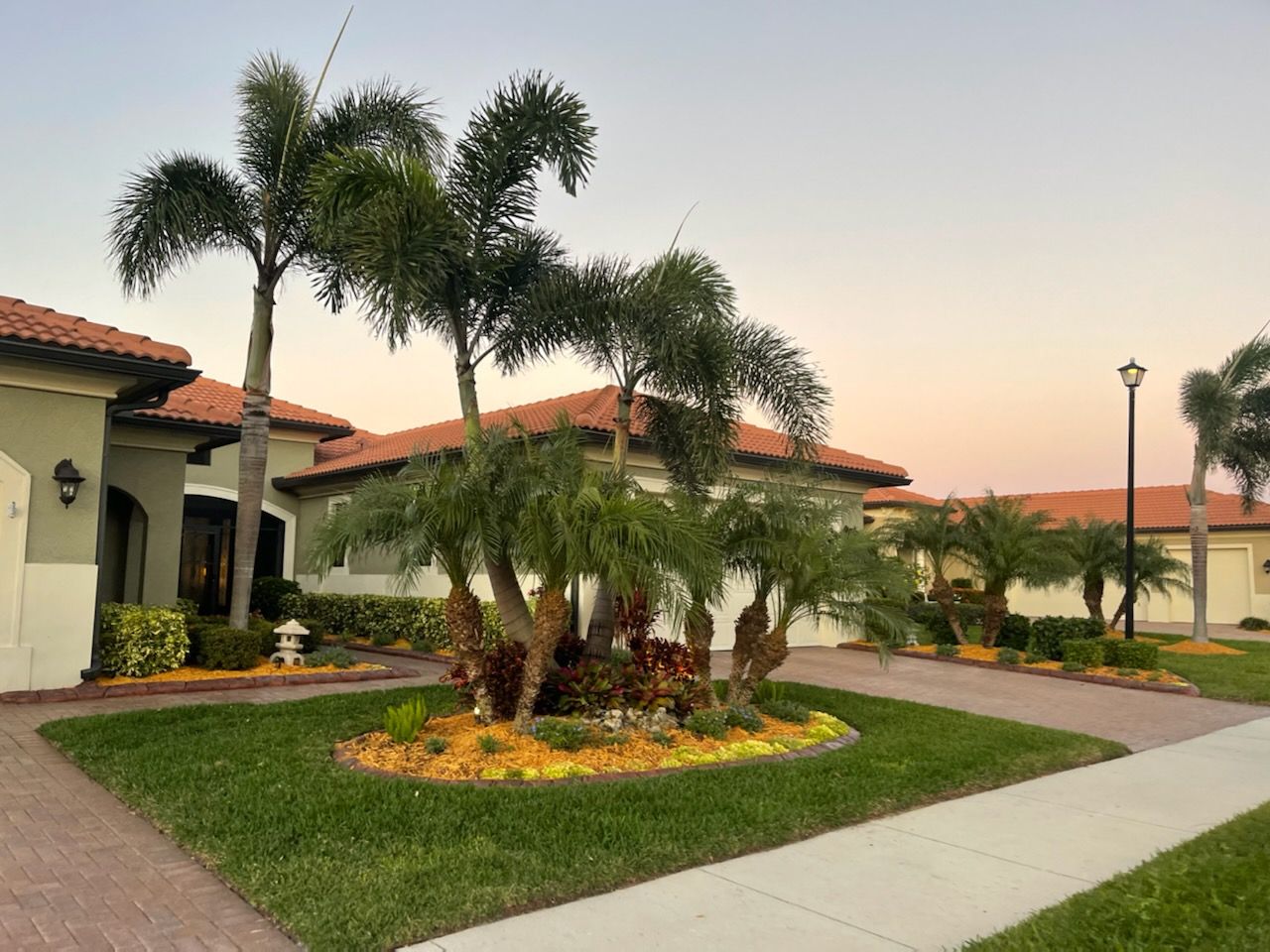 A house with a lot of palm trees in front of it