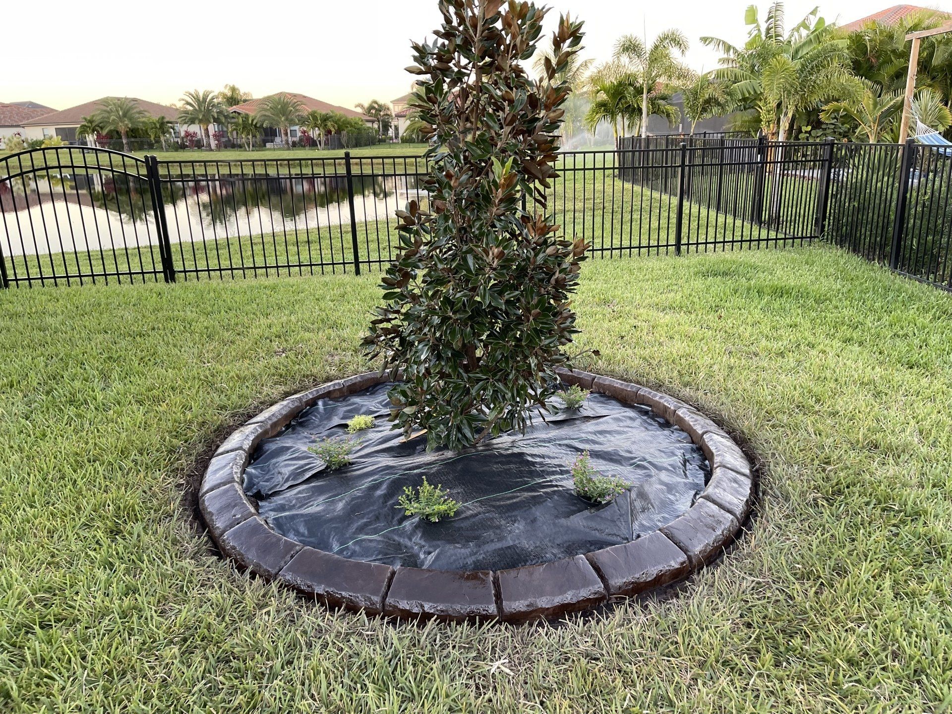 A tree in a circle in the middle of a lush green lawn.