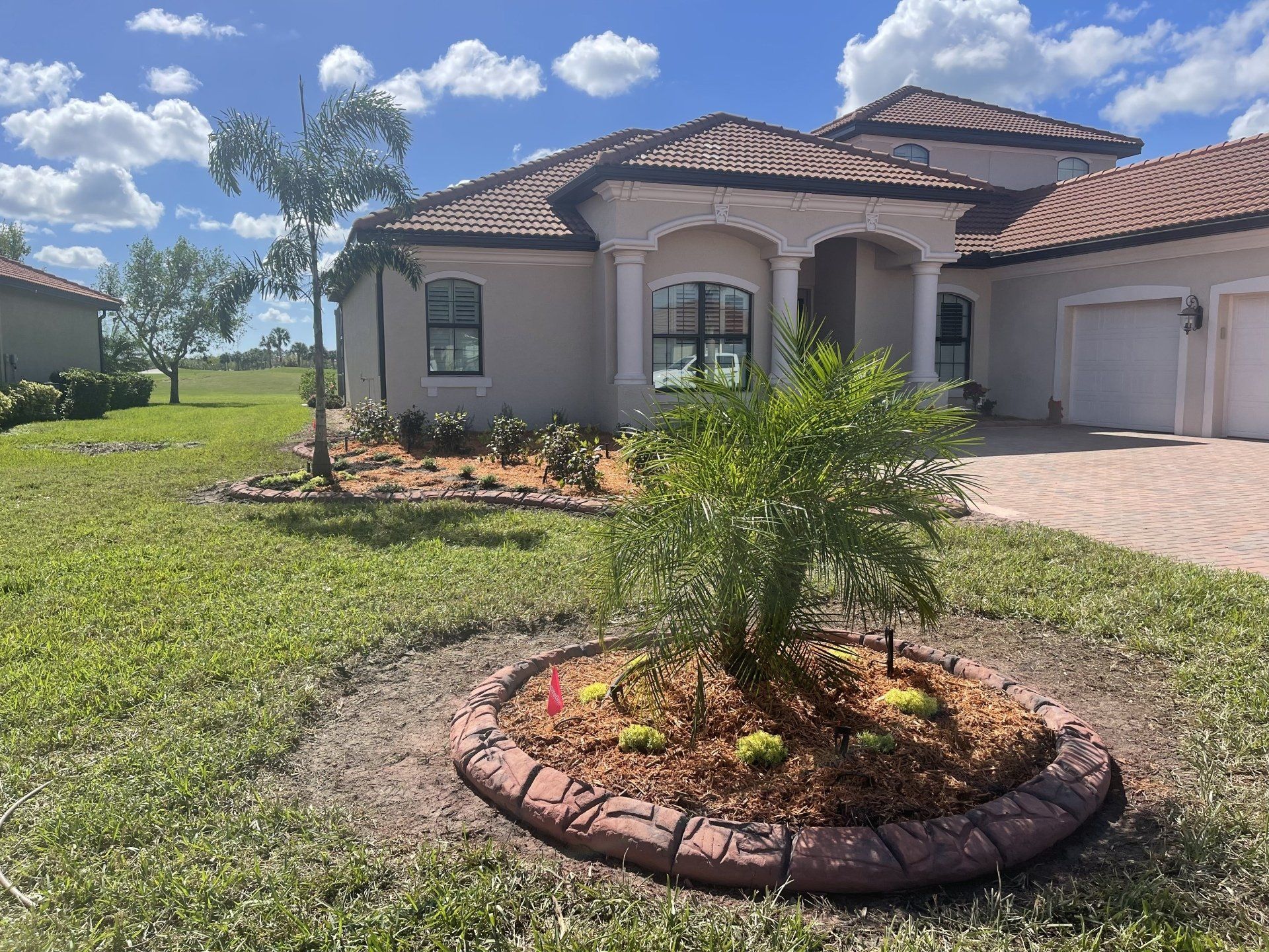A house with a palm tree in front of it
