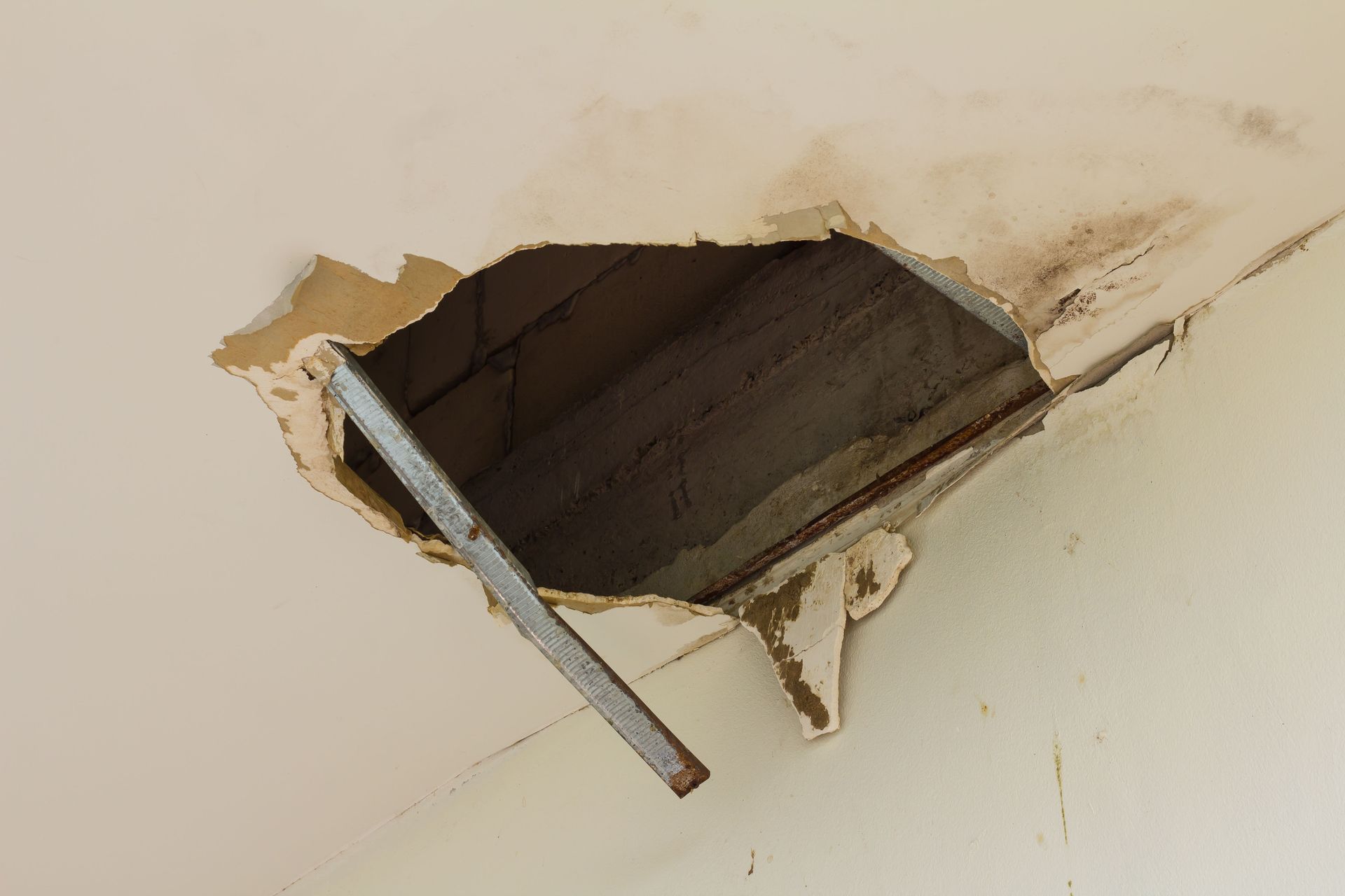 water damage services