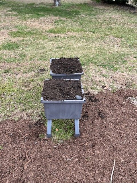 Two planters filled with dirt are sitting on top of a pile of mulch.