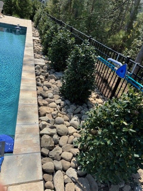 A swimming pool surrounded by rocks and plants.