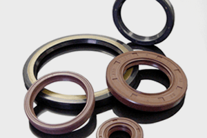 Learn More About Power Transmission Products oil seals
