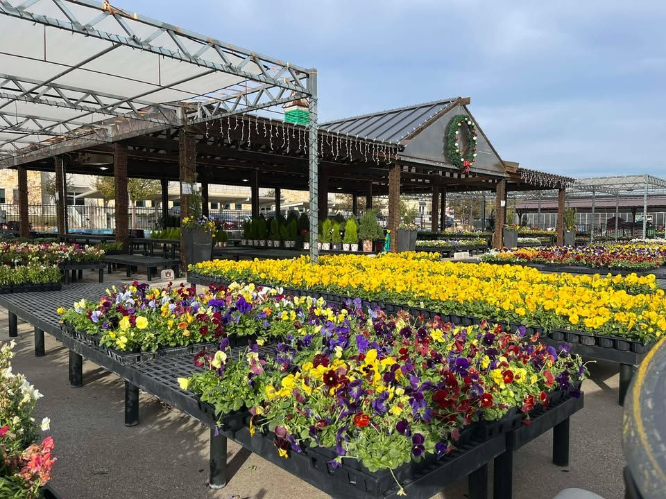 Landscape Systems Garden Center Arbor with multi-color and yellow pansies