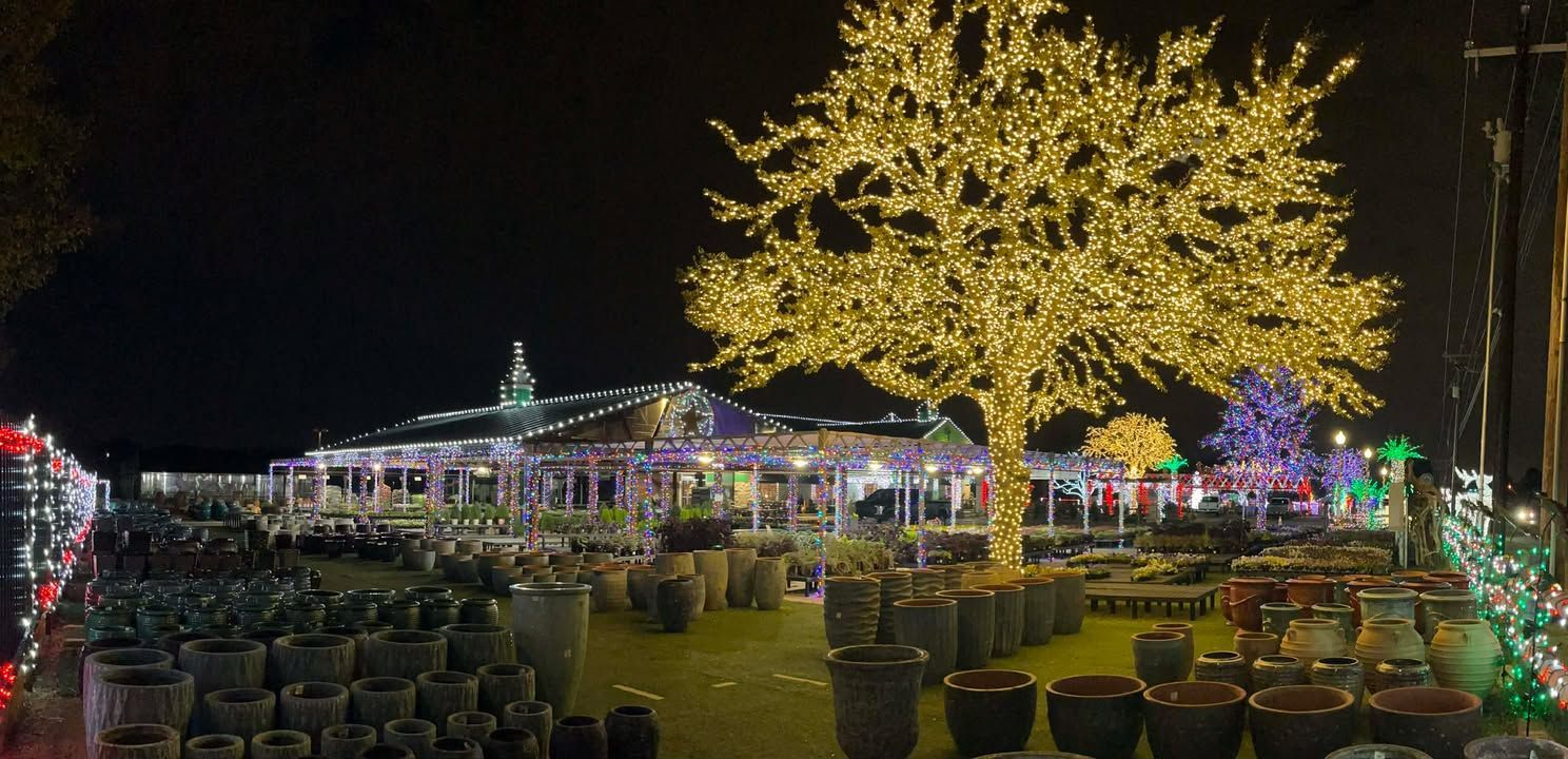 Landscape Systems Garden Center decorated with Christmas Lights