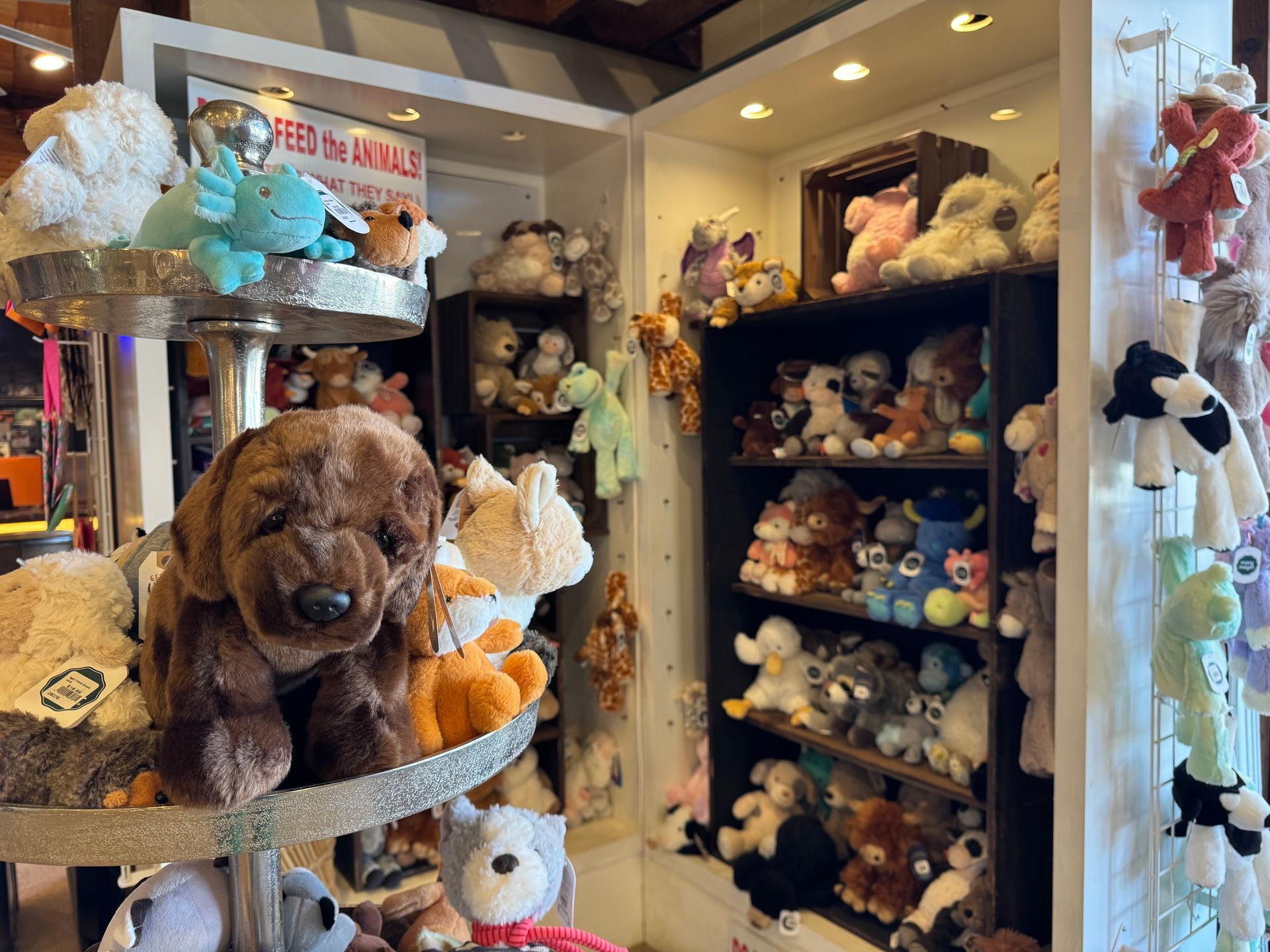 Children's stuffed animals.