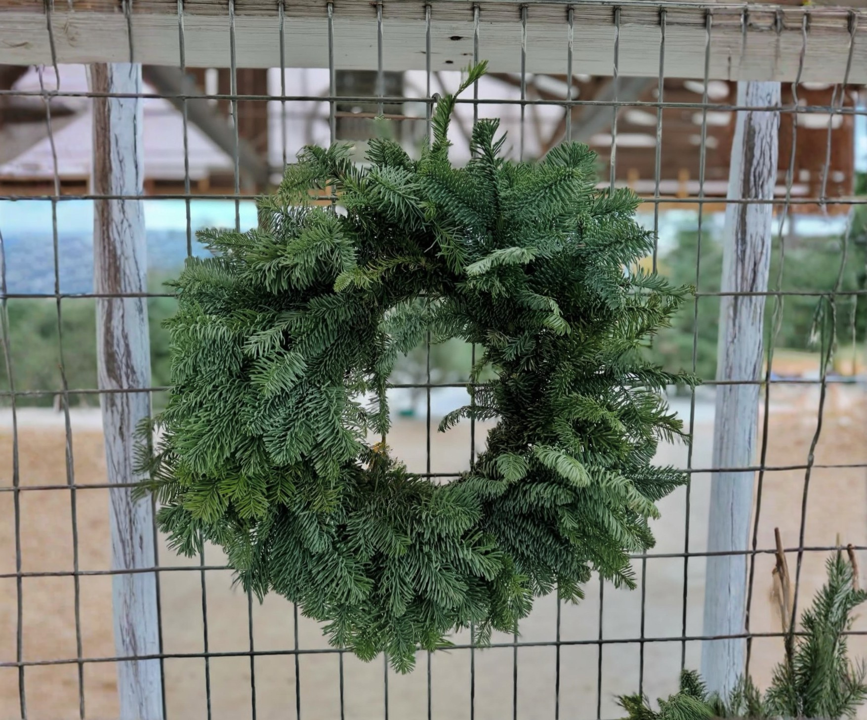 A fresh evergreen wreath hanging on a wire fence