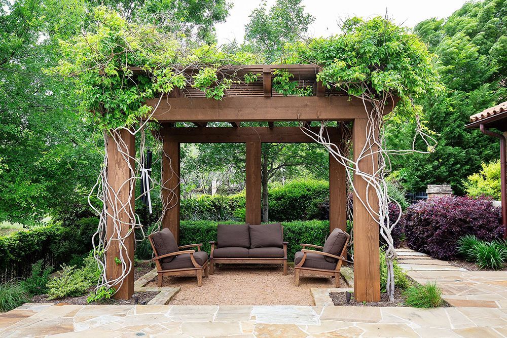 pergola with plants
