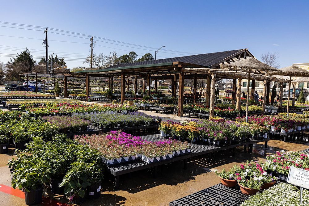 A garden center filled with lots of potted plants and flowers