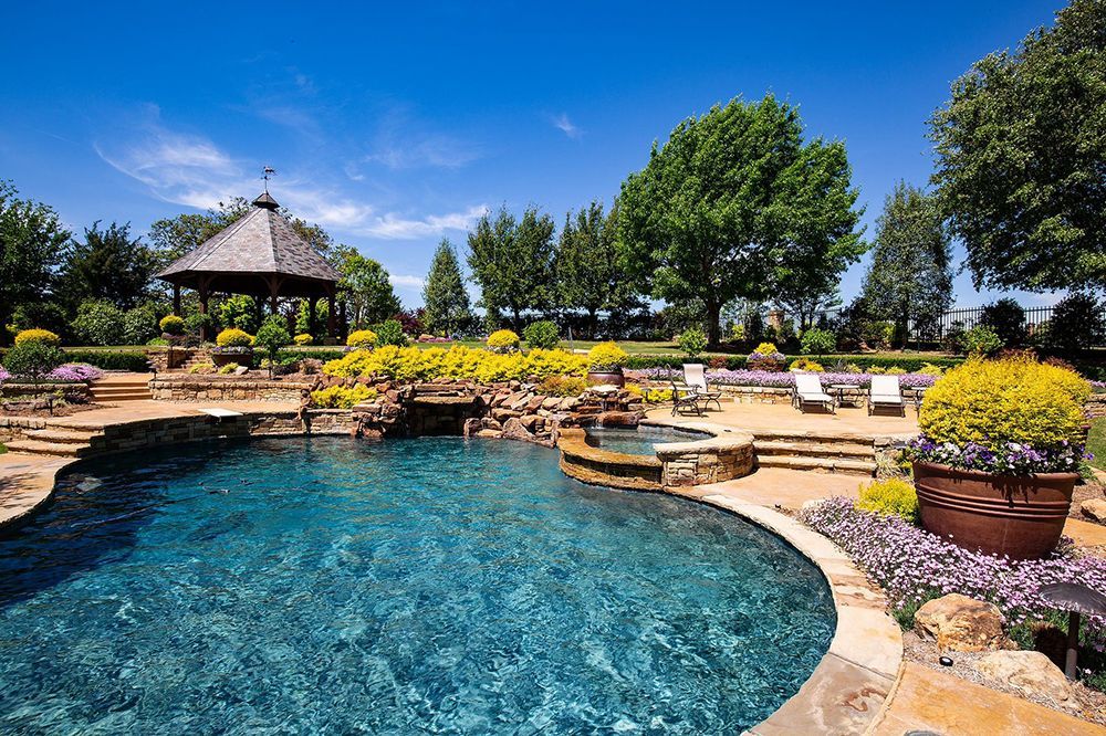 pool with trees around