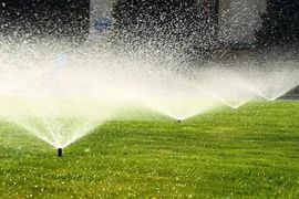 A row of sprinklers spraying water on a lush green lawn.