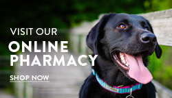 Online pharmacy