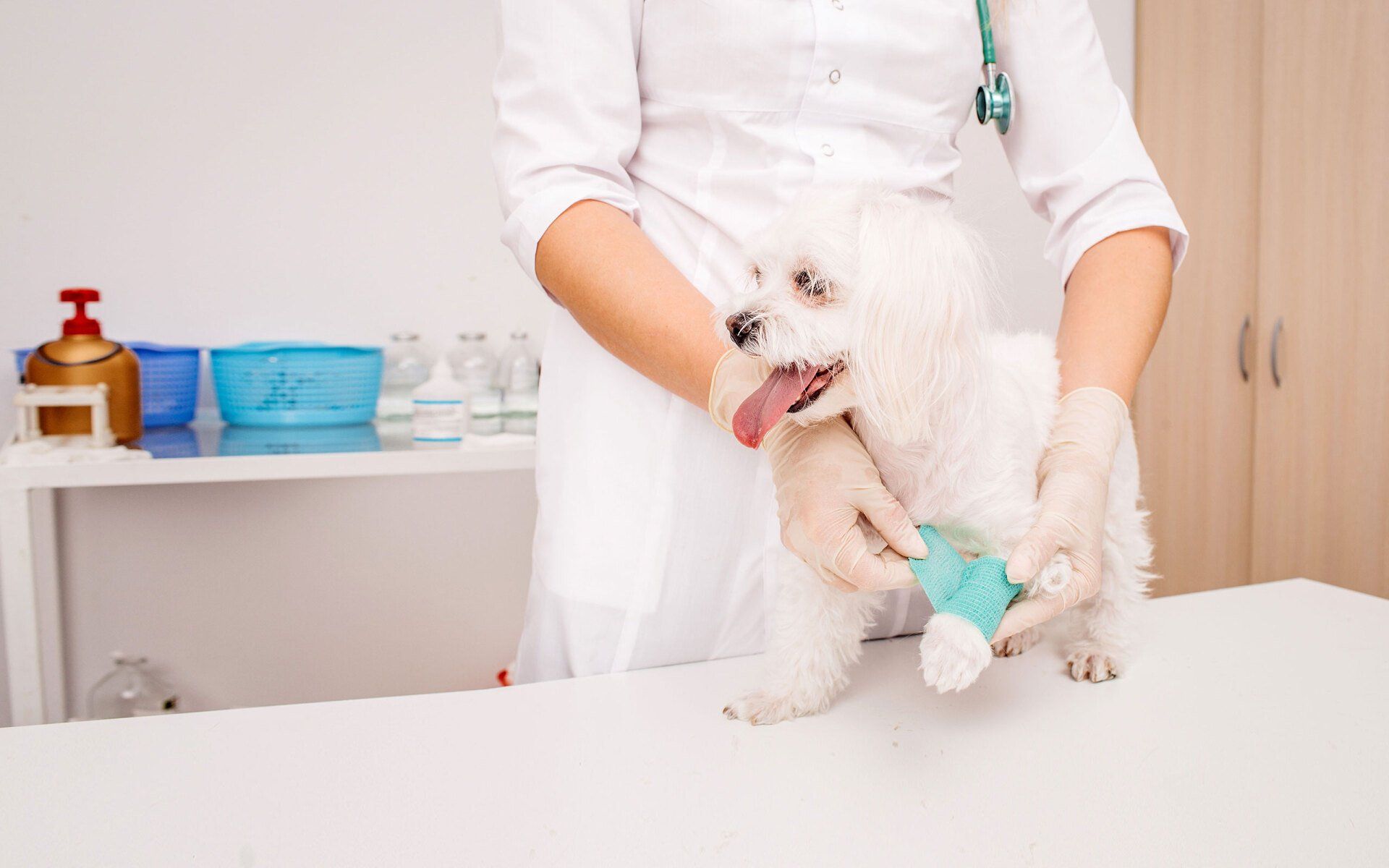 Veterinary care