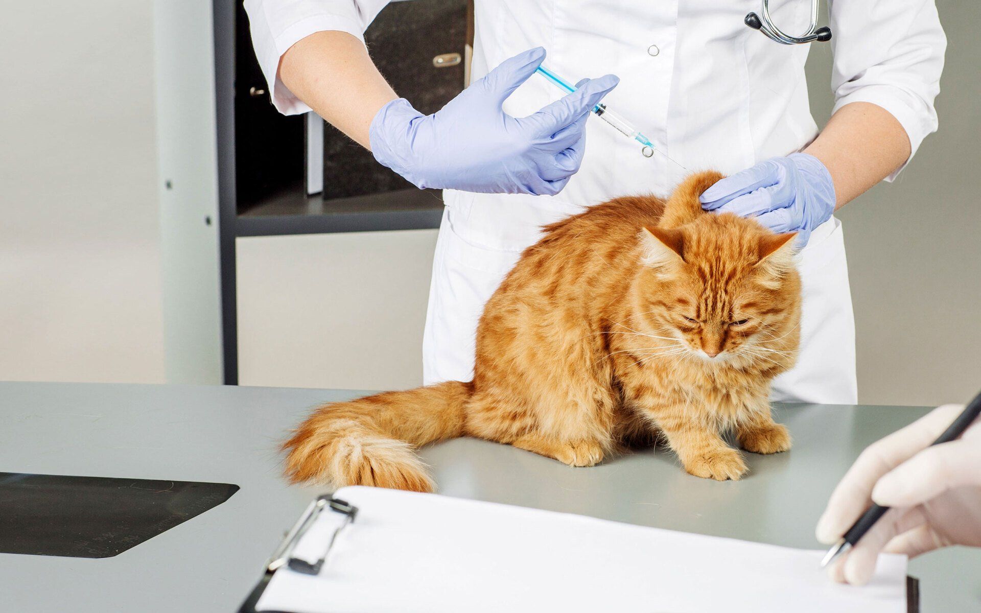 Low-cost vaccine clinic