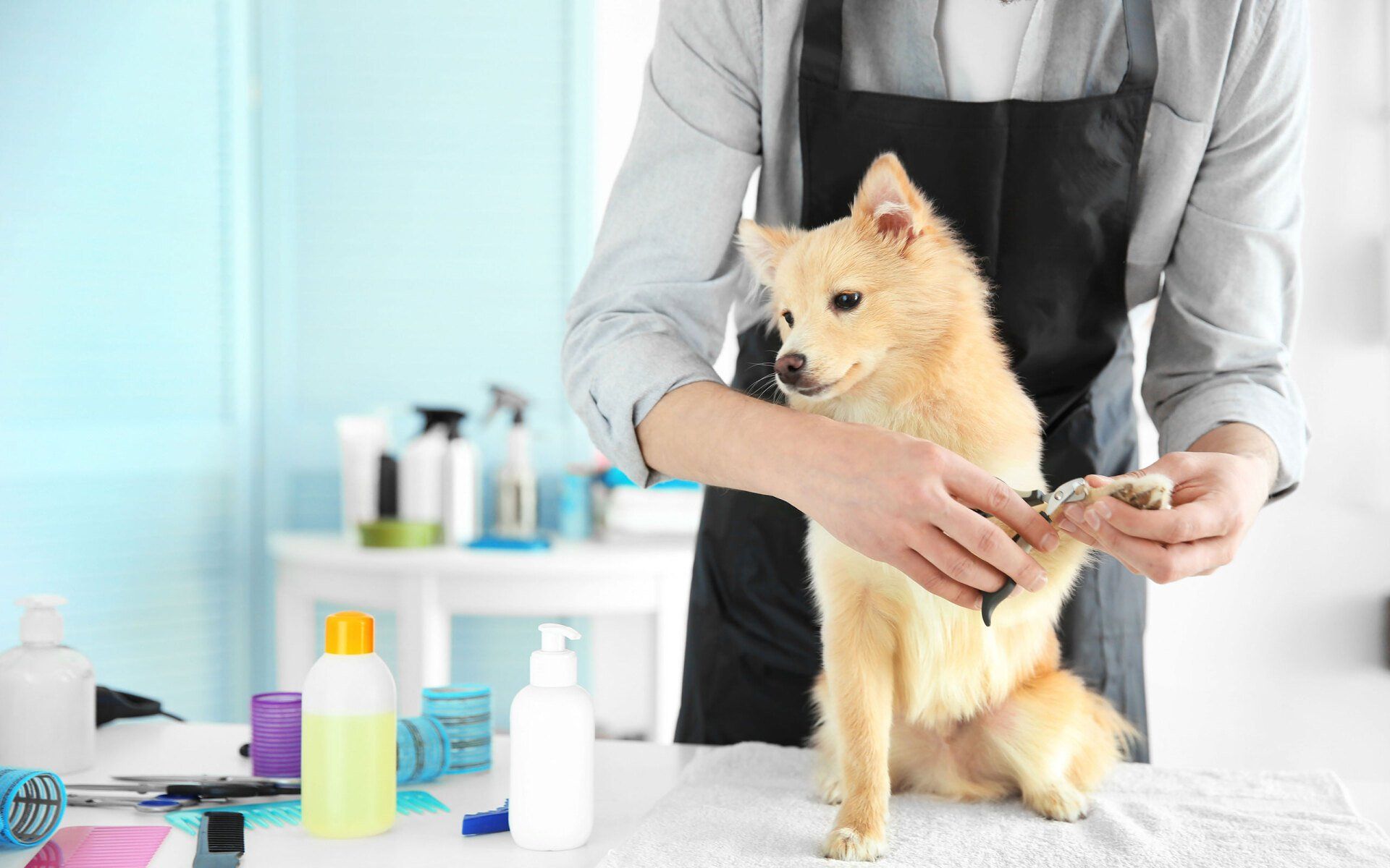 Nail trimming