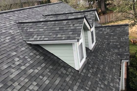 Shingle roof