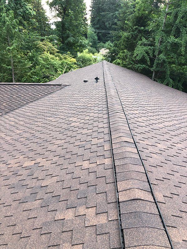 New roof