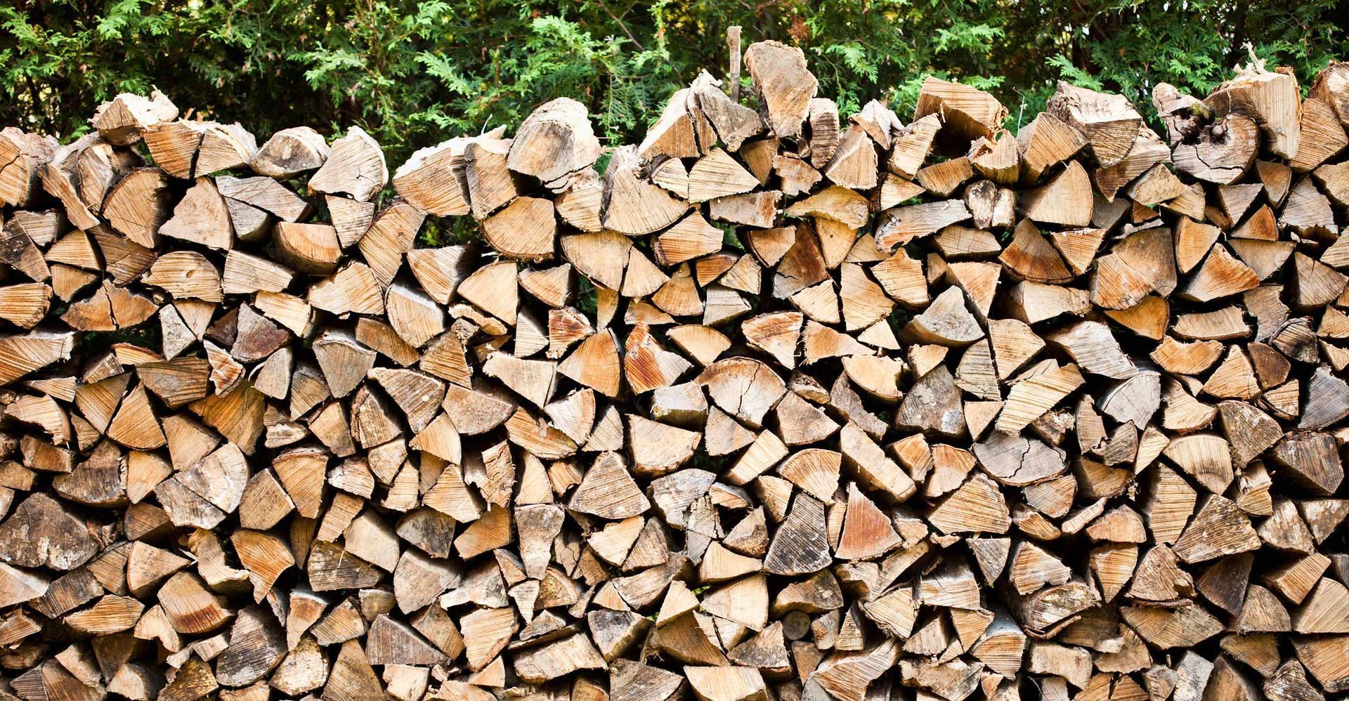 Firewood