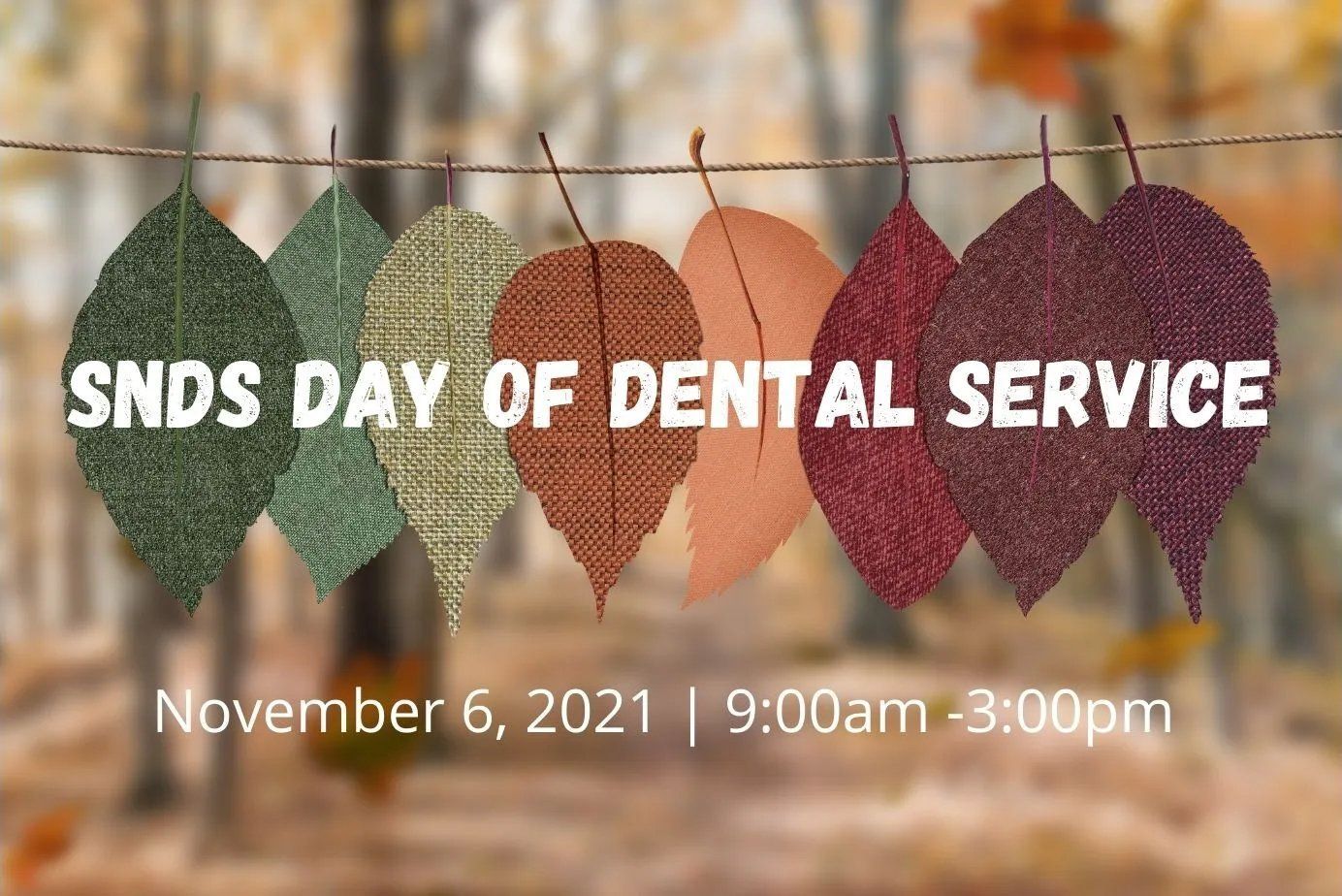 SNDS Day of Dental Service