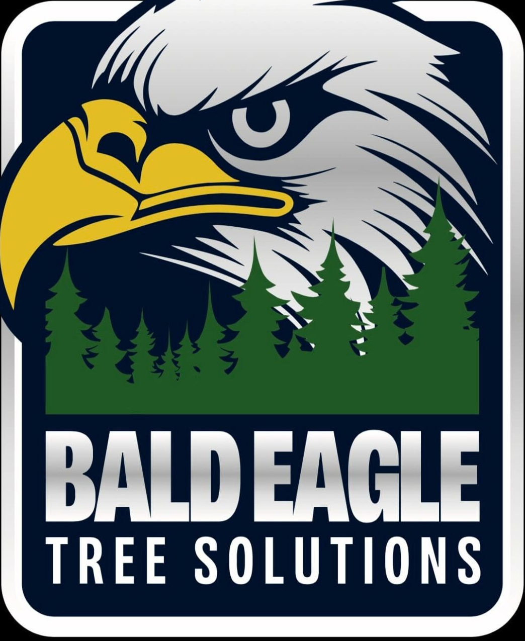 NOB - logo