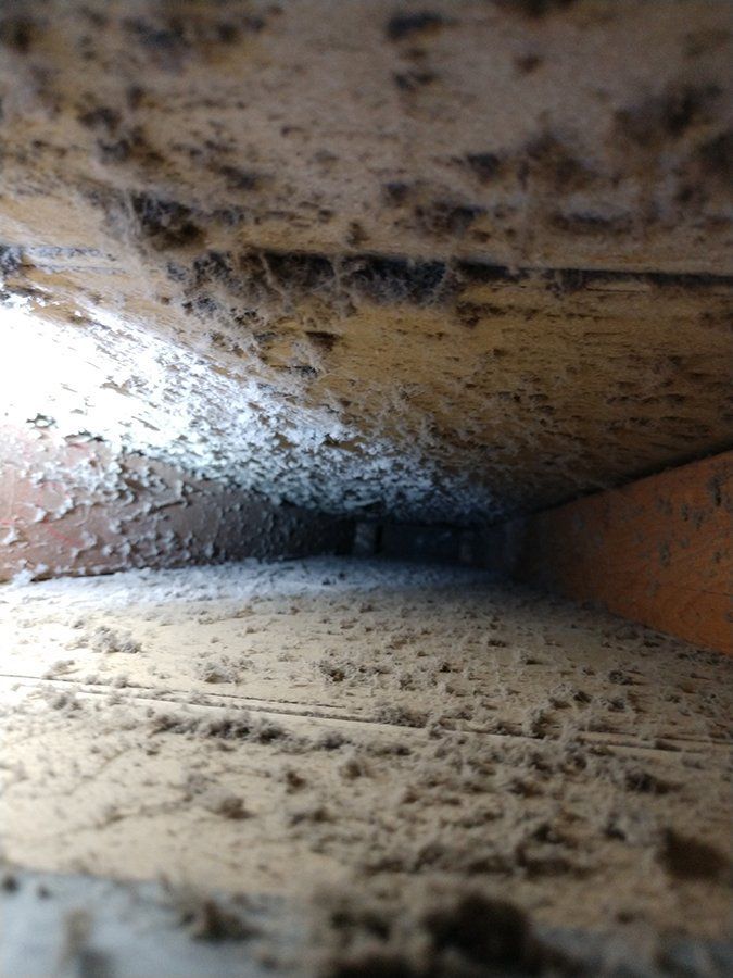before duct cleaning