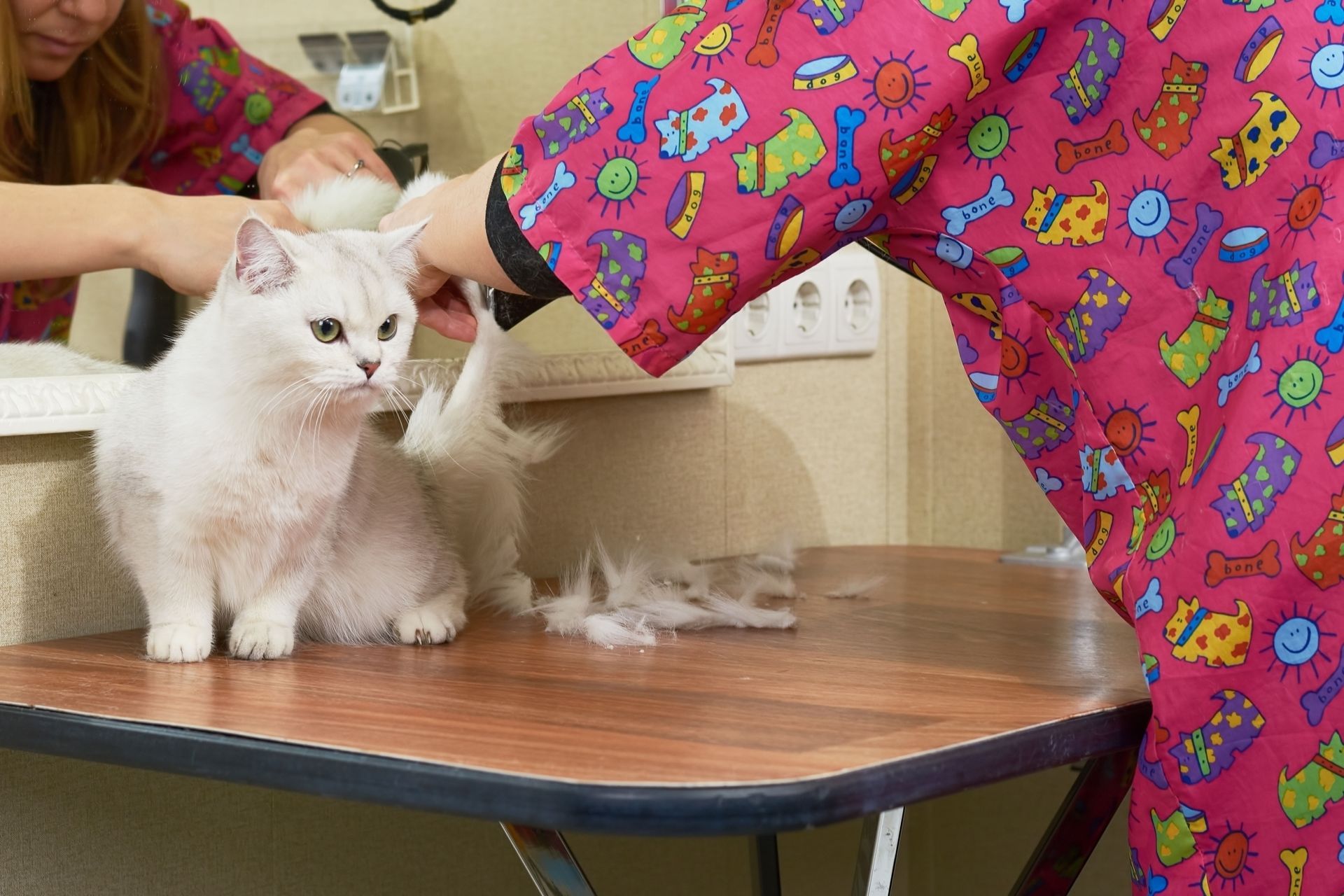 pet care resources