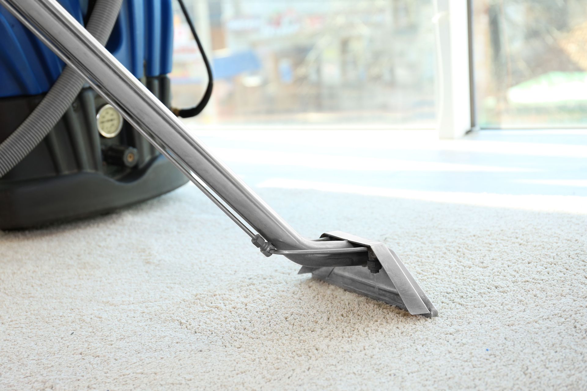 carpet cleaning contractor