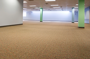 Commercial Carpet Cleaning | Caledonia, IL | Advantage Kwik Dry