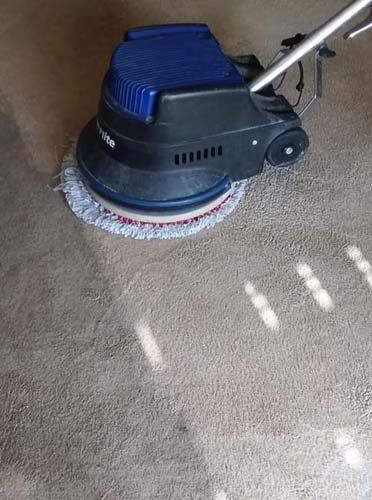 Carpet Cleaning Service