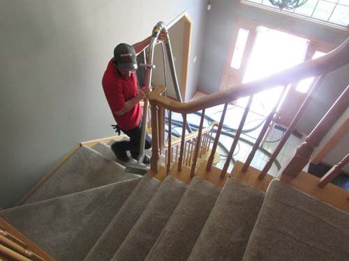Carpet Cleaning Service