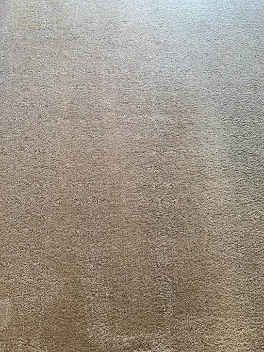 Carpet Cleaning Service