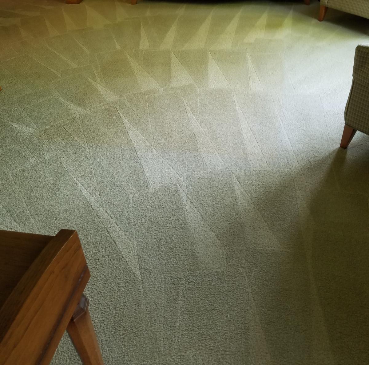 Carpet Cleaning Service