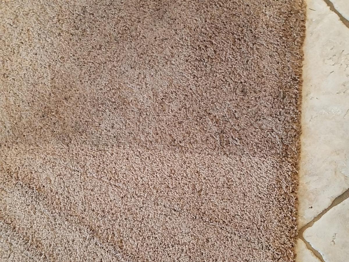 Carpet Cleaning Service