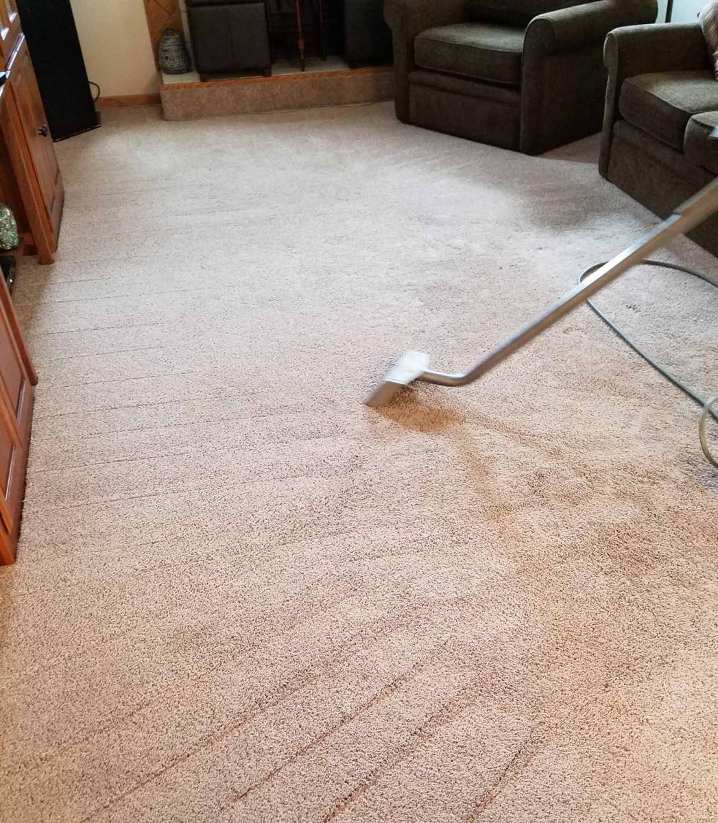 Carpet Cleaning Service