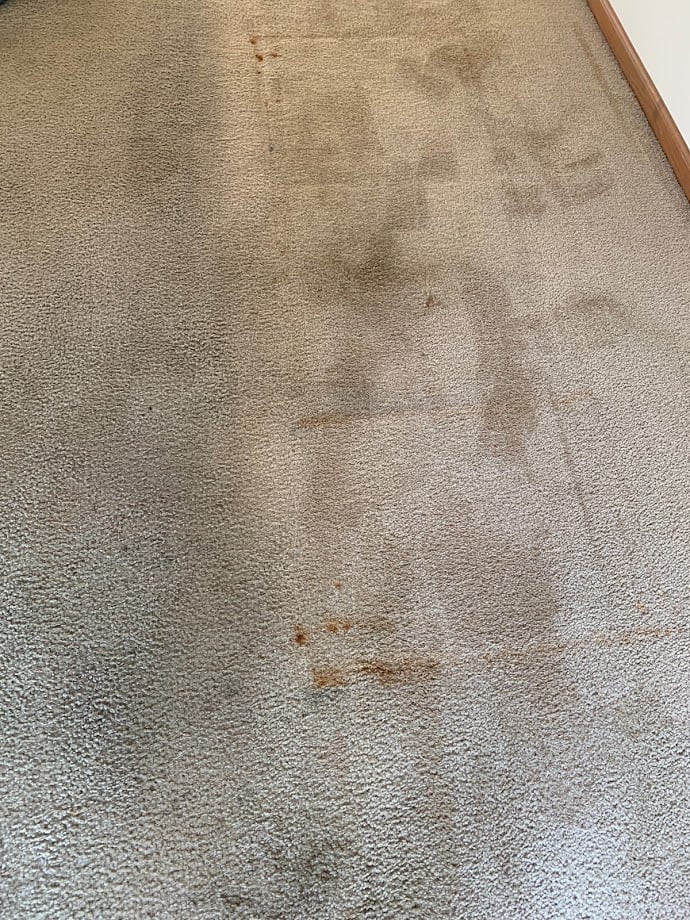 Carpet Cleaning Service