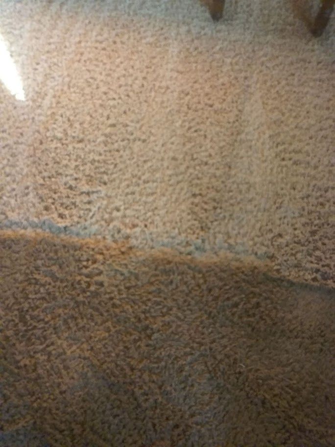Carpet Cleaning Service