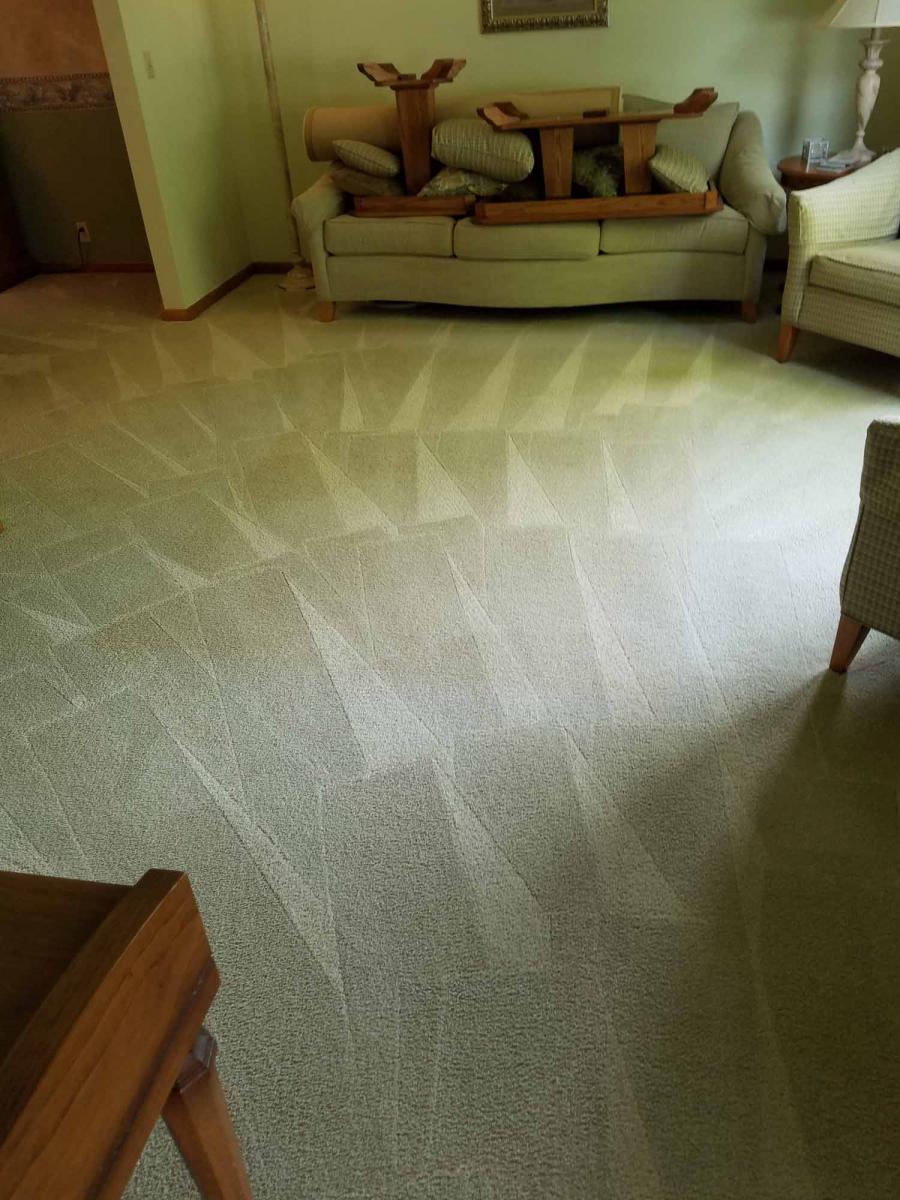 Carpet Cleaning Service