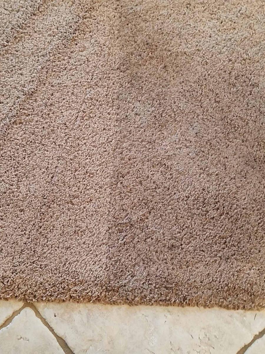 Carpet Cleaning Service